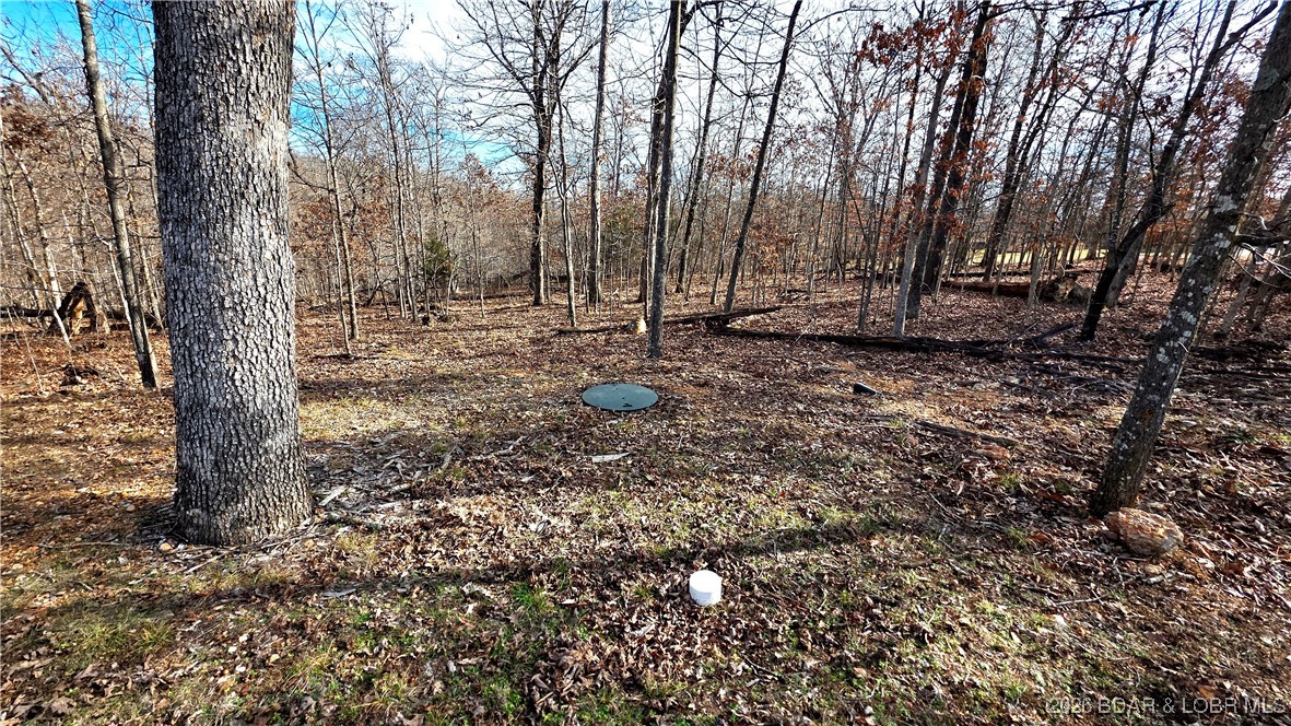 33690 Bass Point Road Gravois Mills, MO 65037 - Photo 24 of 25 Private septic