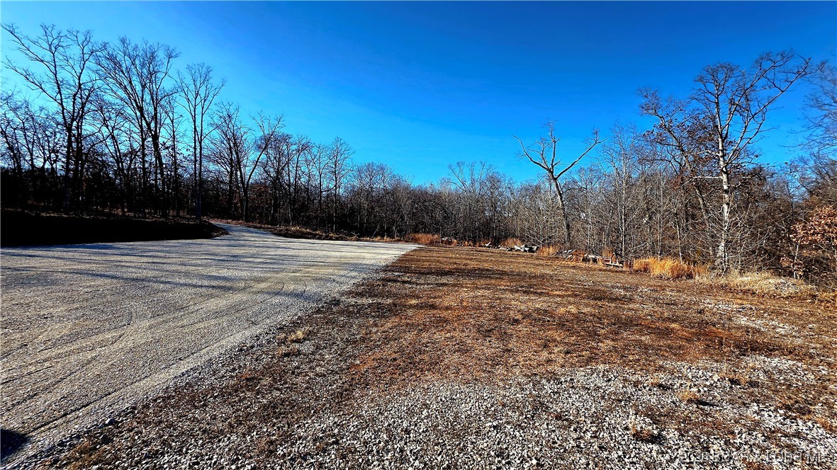 33690 Bass Point Road Gravois Mills, MO 65037 - Photo 4 of 25