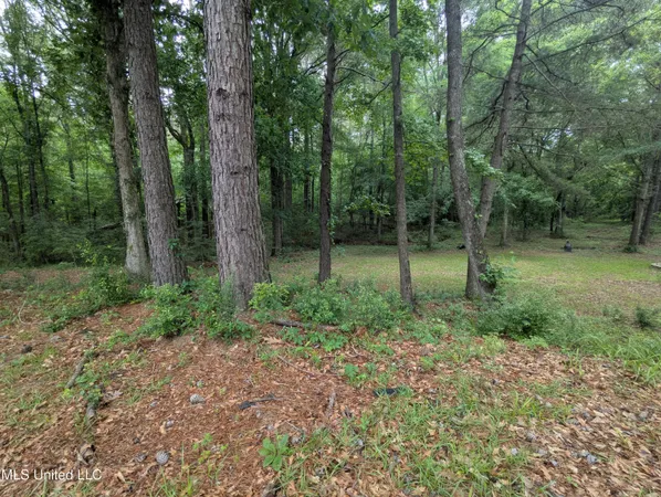 $59,000 | 57 Griffith Road, Prentiss, MS 39474