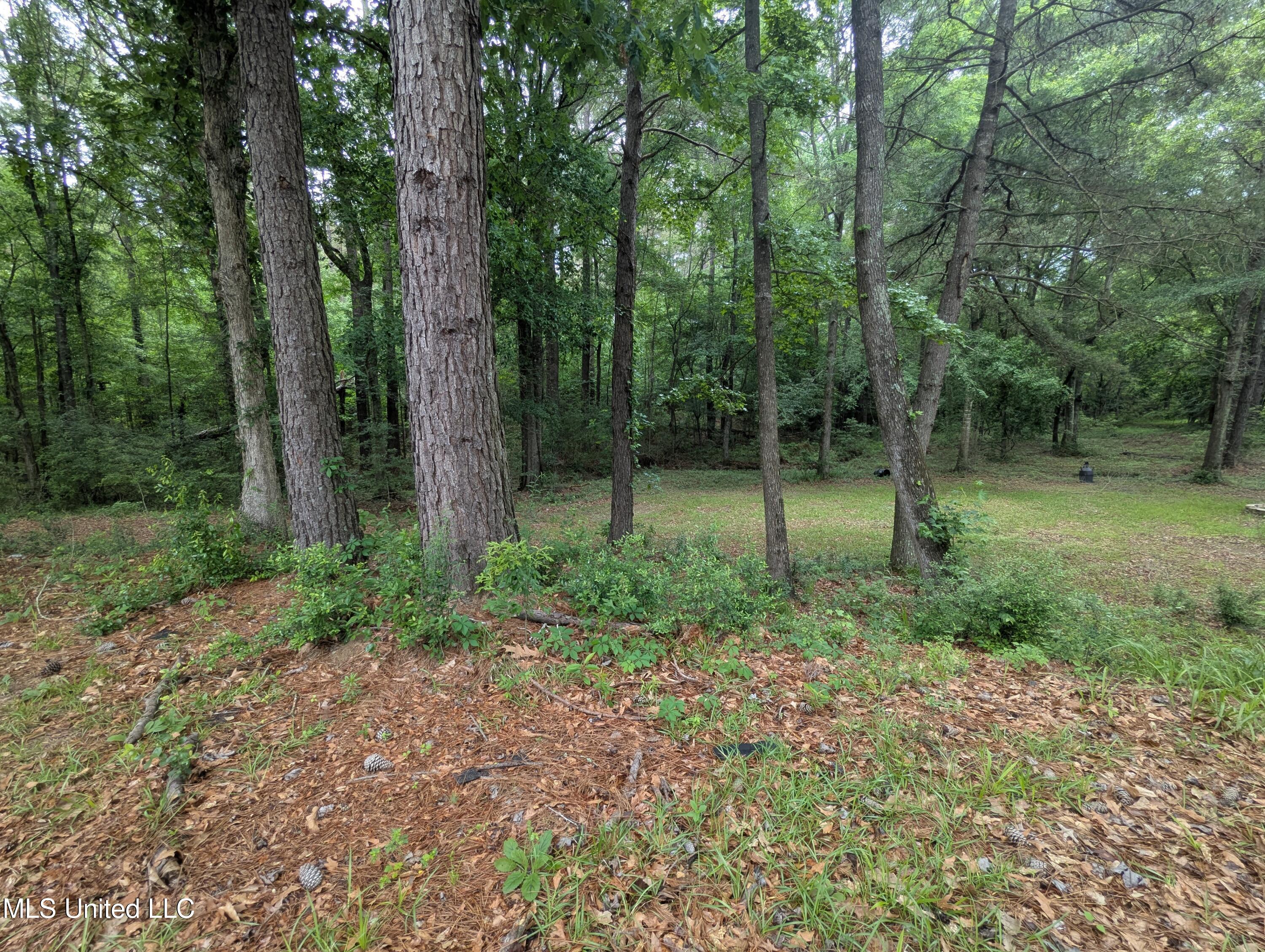 57 Griffith Road Prentiss, MS 39474 - Photo 23 of 25 PXL_20250506_170043762