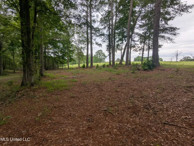 $59,000 | 57 Griffith Road, Prentiss, MS 39474