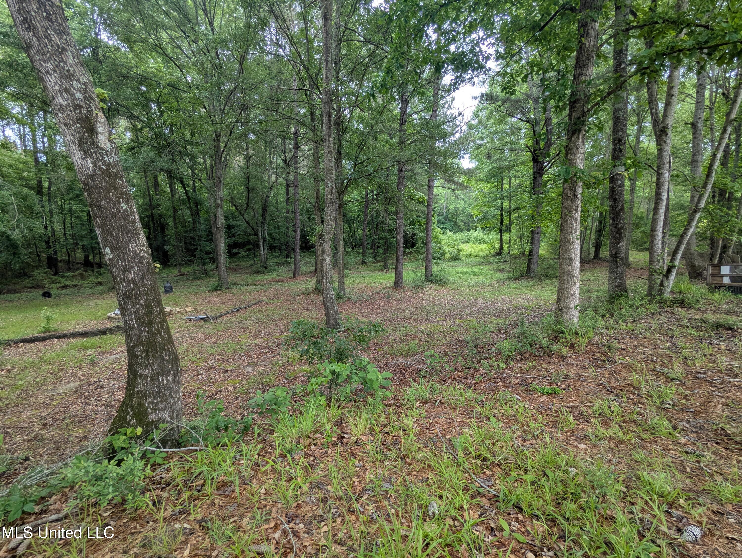 57 Griffith Road Prentiss, MS 39474 - Photo 25 of 25 PXL_20250506_170119729