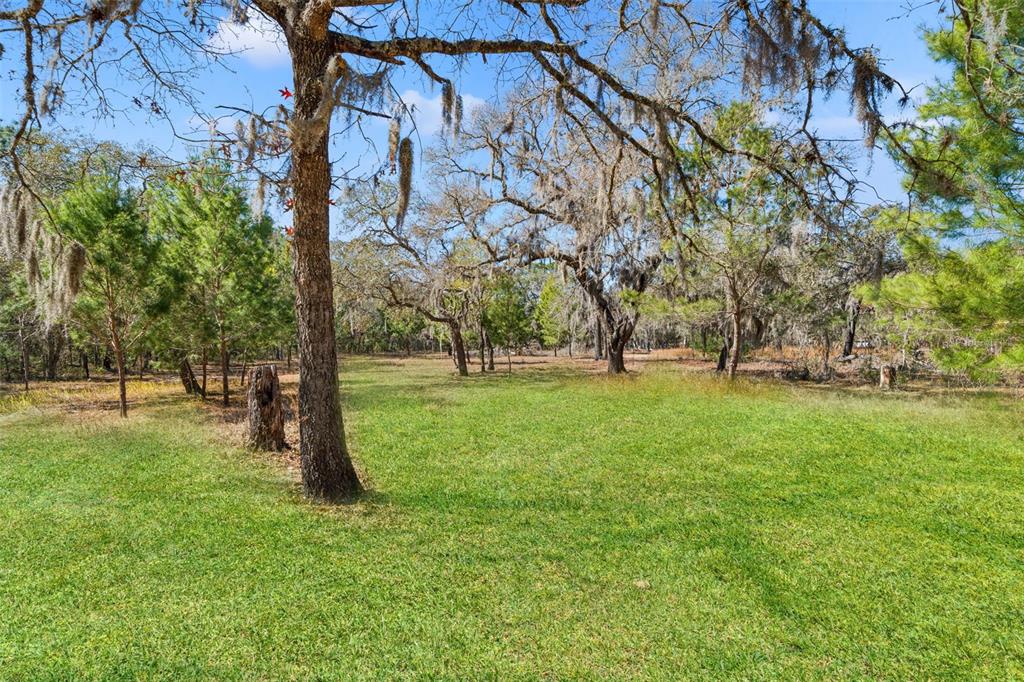 12222 Beagle Road Hudson, FL 34667 - Photo 57 of 78 Gallery Image 57