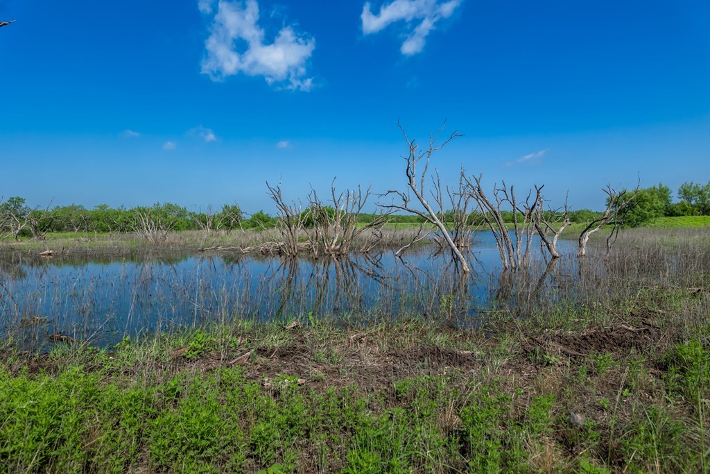 88291 Suaa Rd Well Lohn, TX 76852 - Photo 10 of 44 a view of a lake with a building in the background