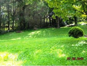 1222 Ridgeway Road Johnson City, TN 37601 - Photo 15 of 16 Yard View