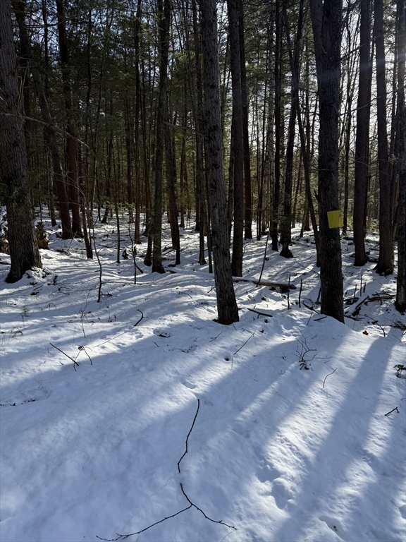 0 Four 4 Mile Brook Road Northfield, MA 01360 - Photo 10 of 11