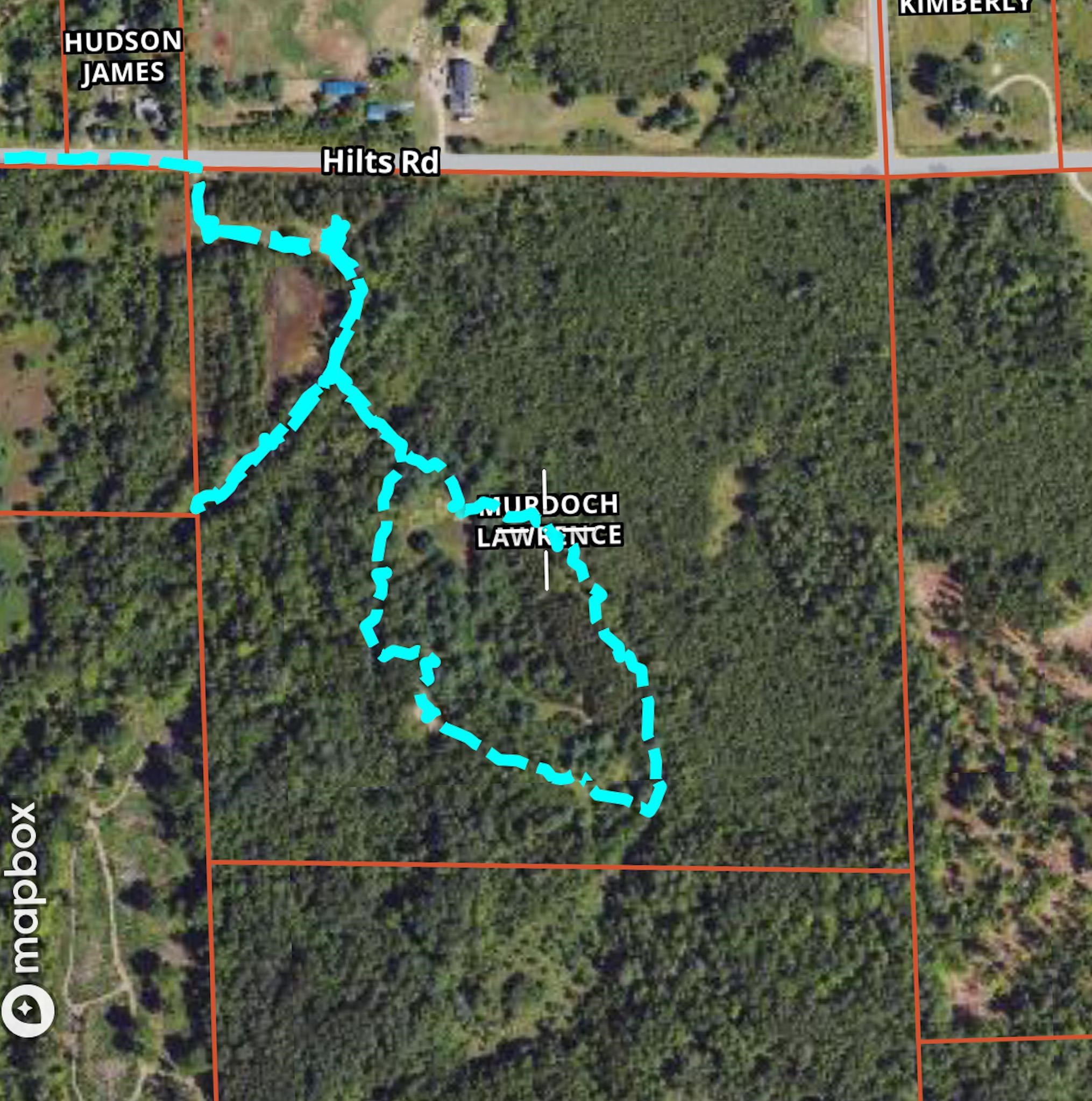 40-acres Hilts Road Gladwin, MI 48624 - Photo 37 of 37