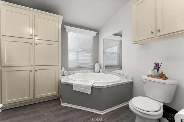 a bathroom with a sink a toilet and vanity