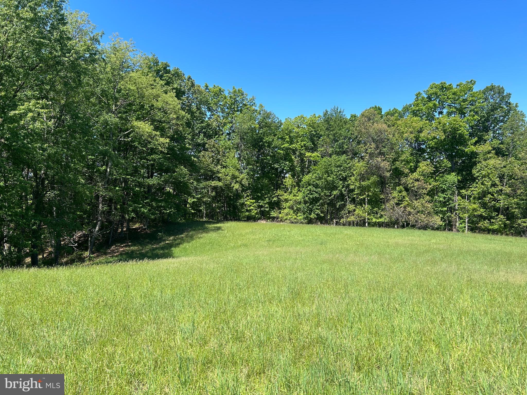 South Timber Ridge Road Cross Junction, VA 22625 - Photo 28 of 32 a view of field with plants and trees in the background