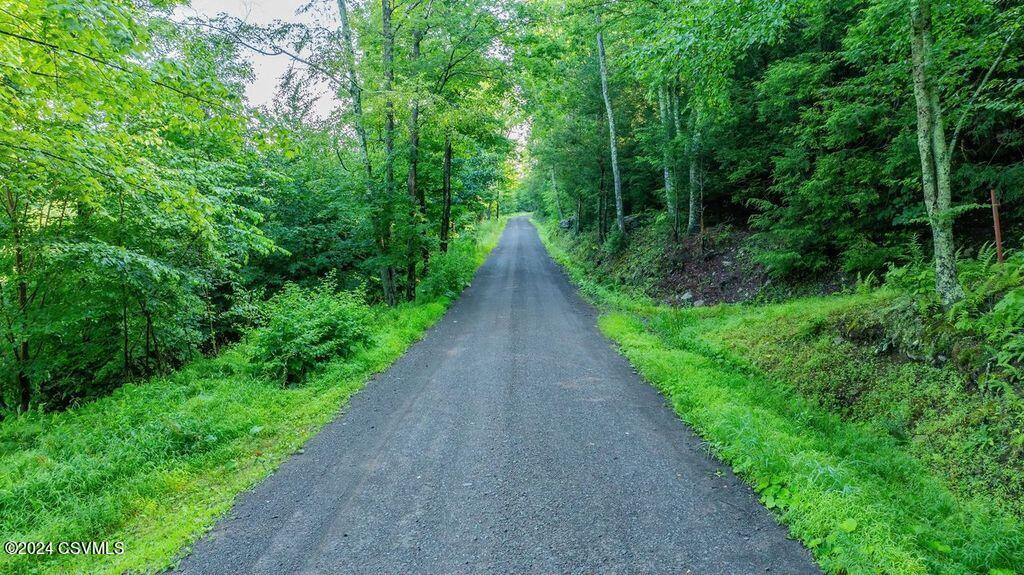 Kyttle Pike Road Sweet Valley, PA 18656 - Photo 11 of 13 Gallery Image 11