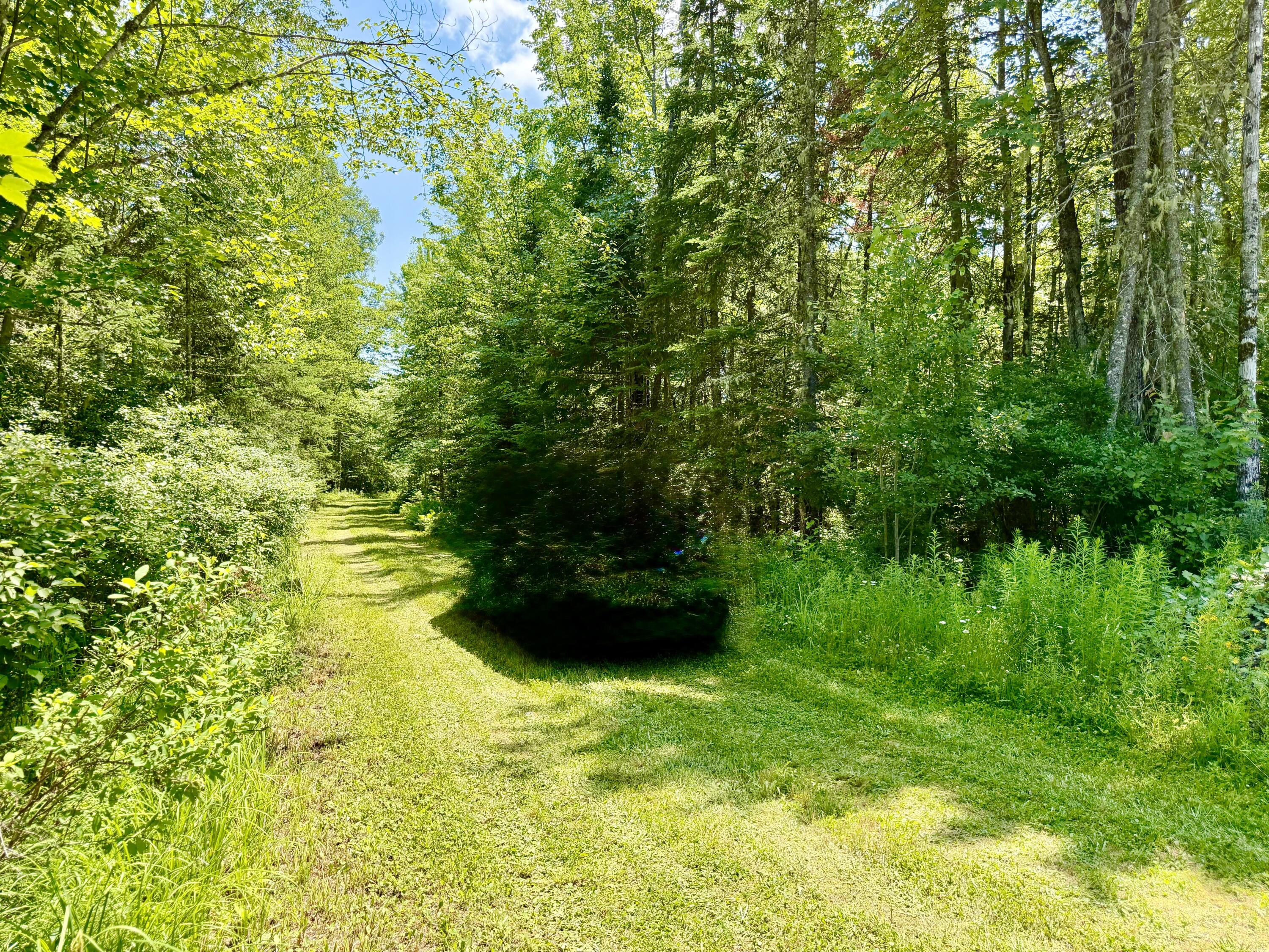 1053 Hudson Hill Road Hudson, ME 04449 - Photo 56 of 61 Paths to More Adventures!
