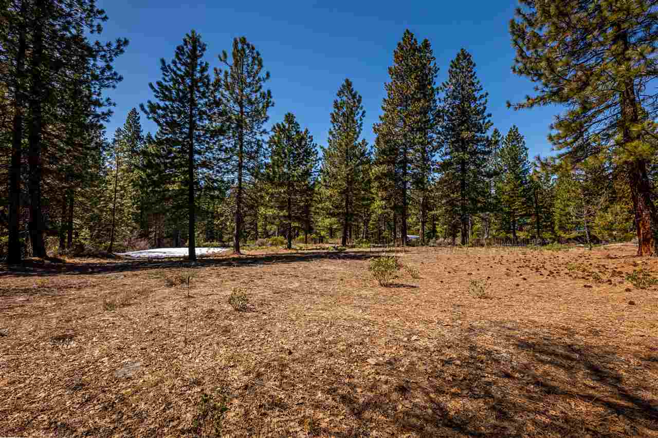 175 Haul Road McCloud, CA 96057 - Photo 3 of 8 Gallery Image 3