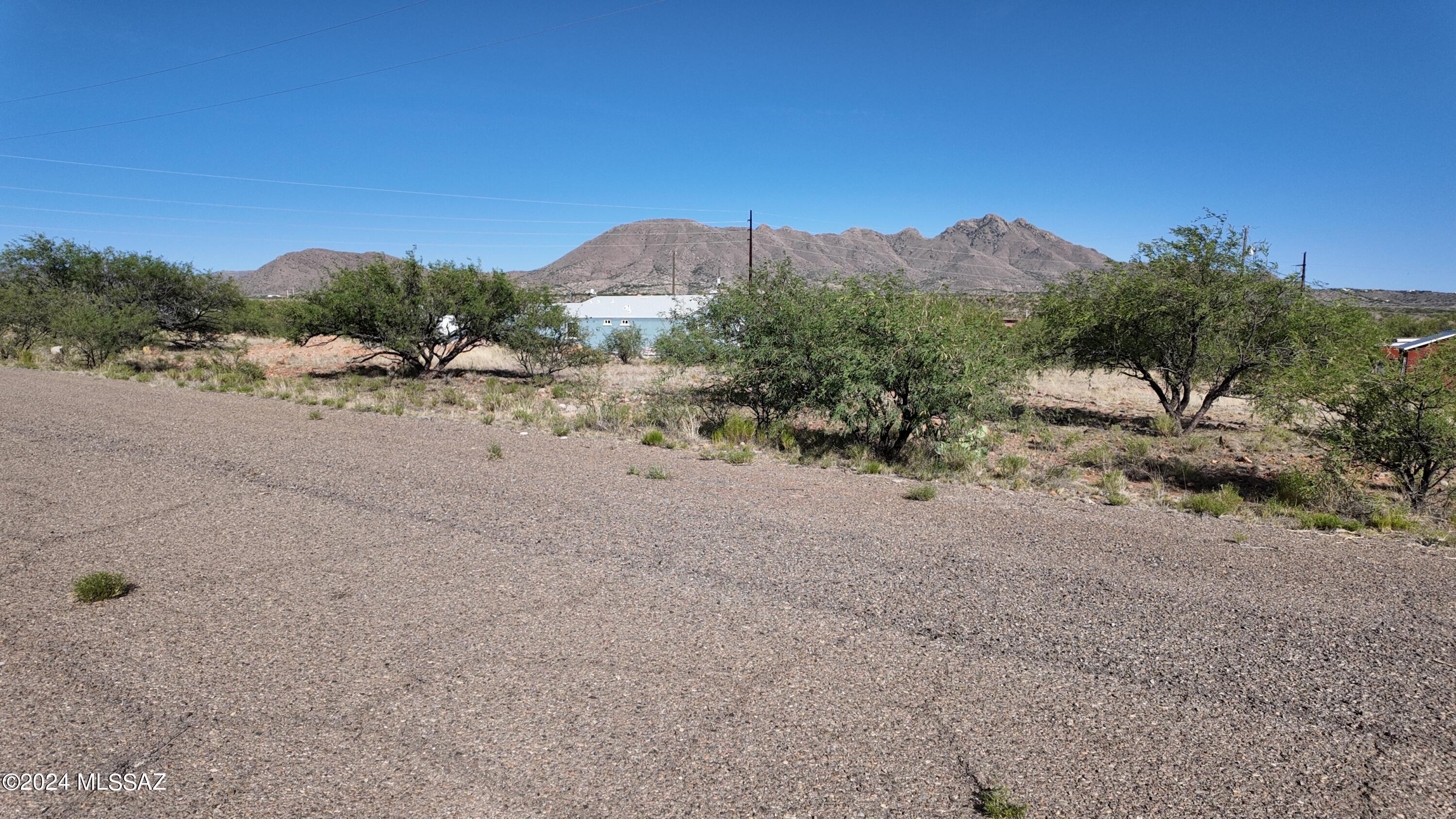 105 Bretana Court, Unit 114 Rio Rico, AZ 85648 - Photo 3 of 15 a view of a dirt road with a large trees