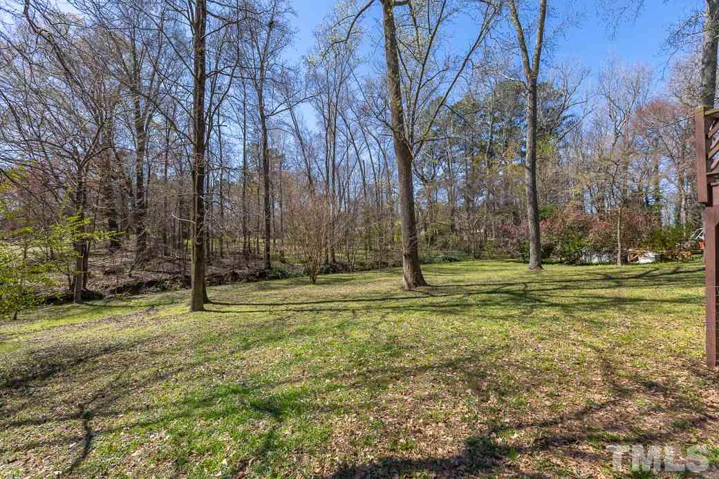1605 Pagan Road Raleigh, NC 27603 - Photo 22 of 23 a view of a park with large trees