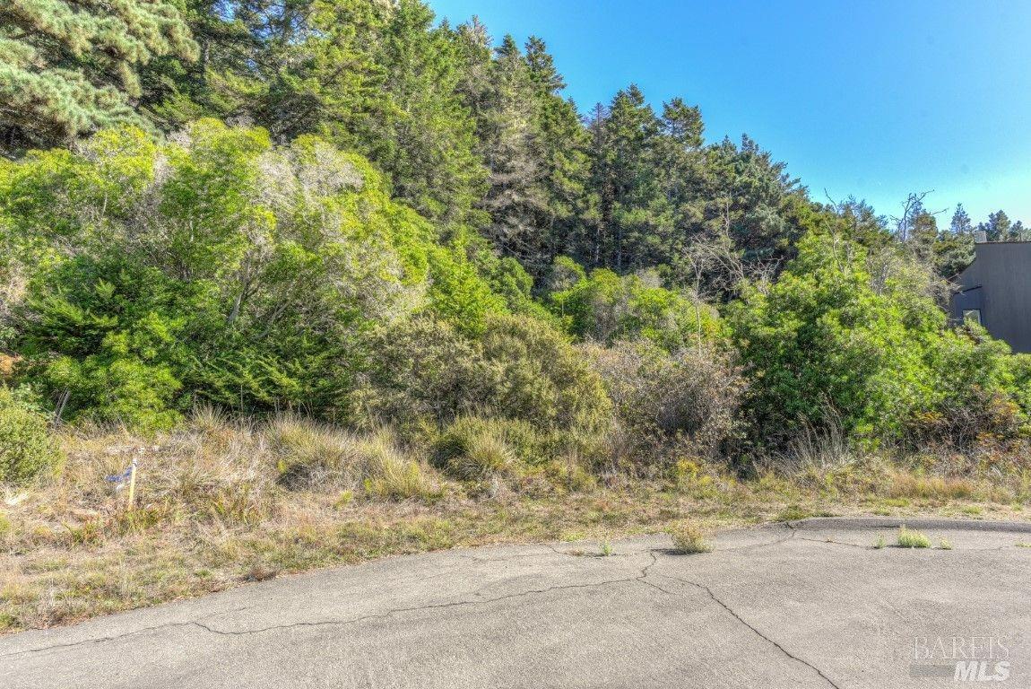 332 Antler The Sea Ranch, CA 95497 - Photo 15 of 26