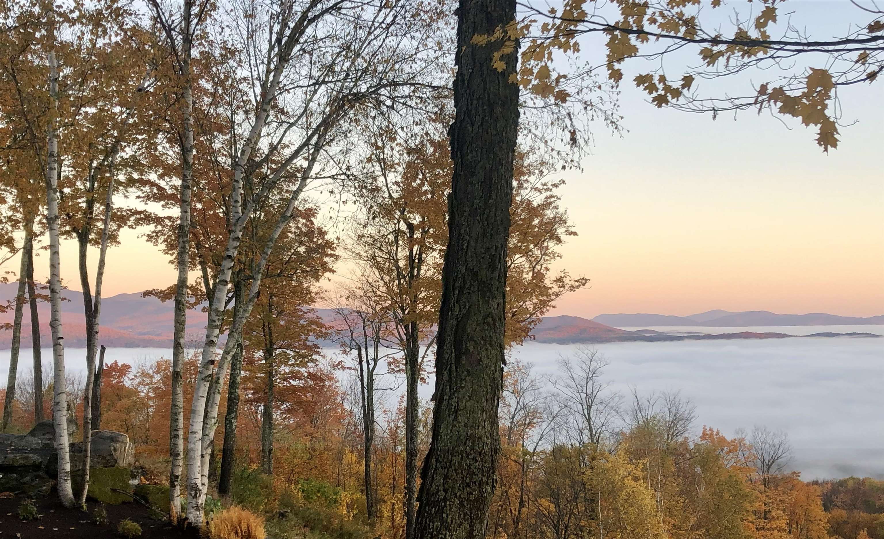 1241 Taber Ridge Road Stowe, VT 05672 - Photo 9 of 60