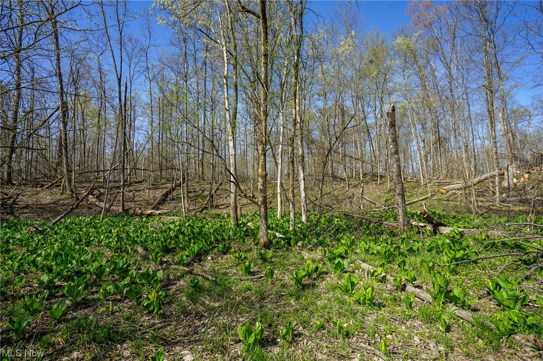 Vesta Road Wakeman, OH 44889 - Photo 18 of 22