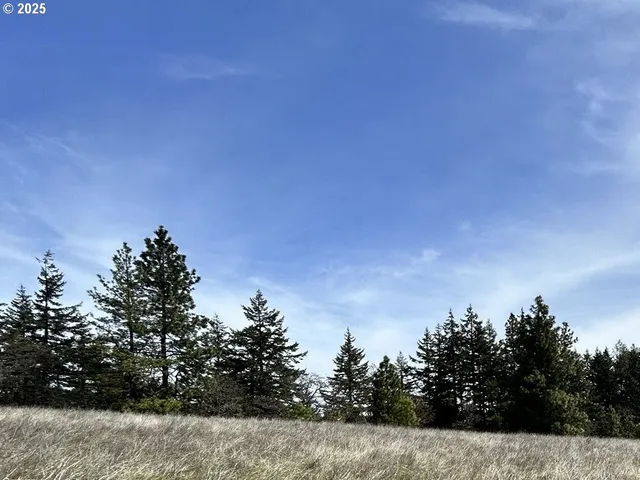 a view of a covered with trees in the background