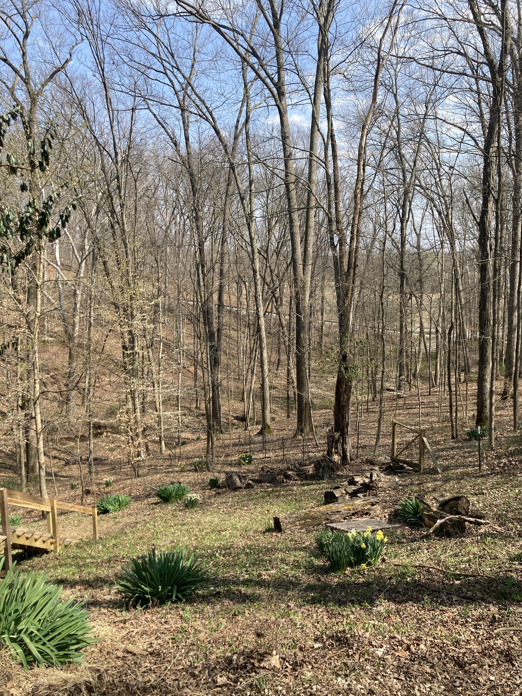 725 Helmsburg Road Nashville, IN 47448 - Photo 22 of 33 Gallery Image 22