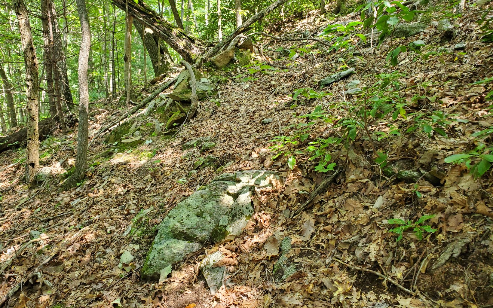 Additional View