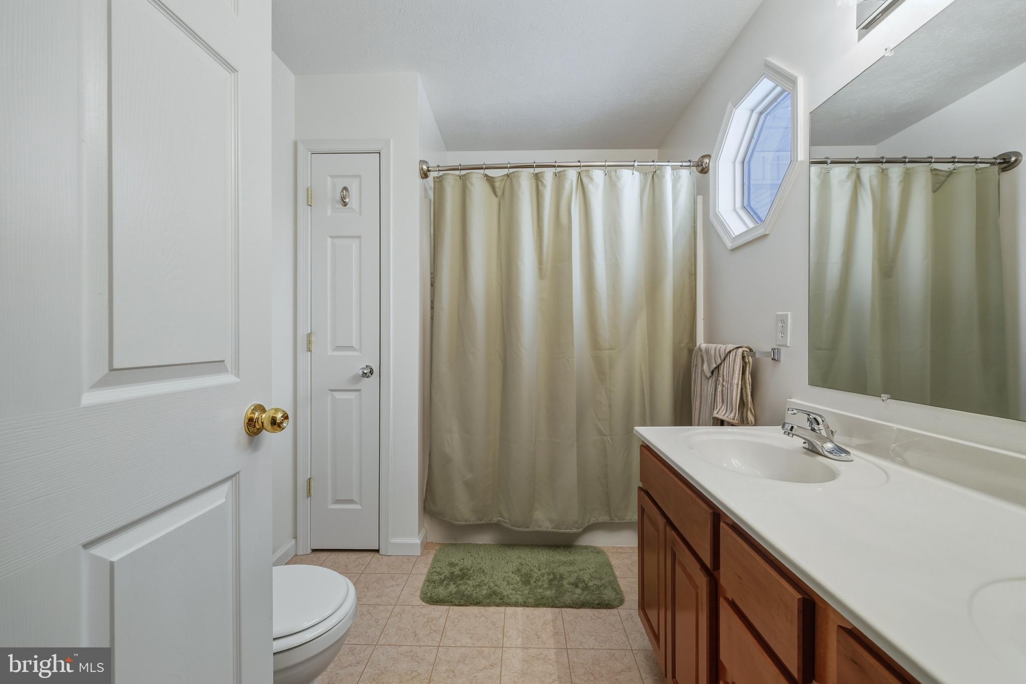 112 Auger Way Mount Jackson, VA 22842 - Photo 23 of 51 Main Level - Primary Bath