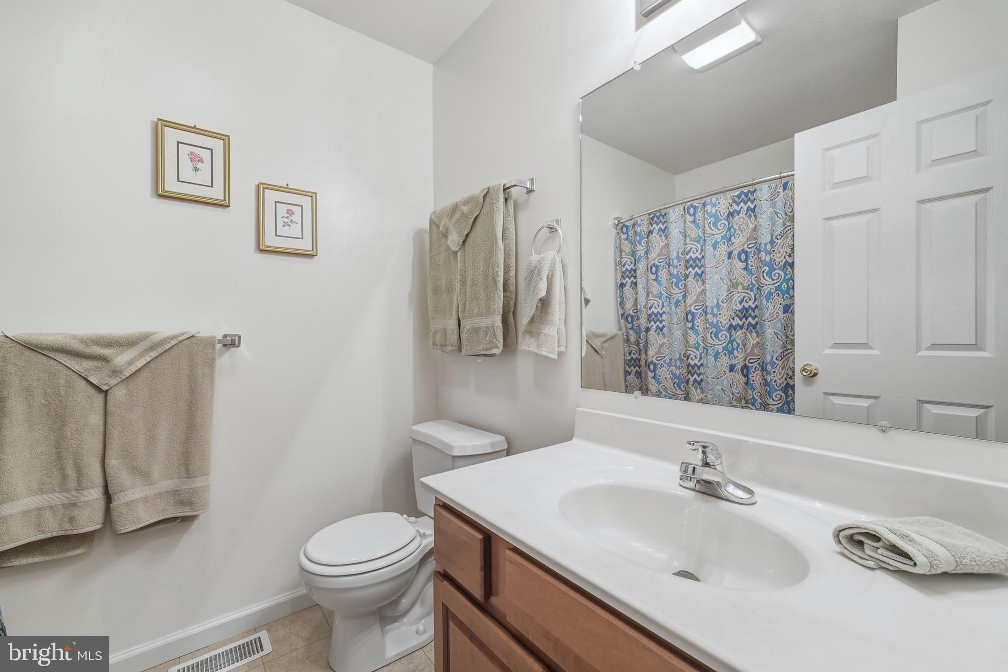 112 Auger Way Mount Jackson, VA 22842 - Photo 27 of 51 Main Level - Guest Bath