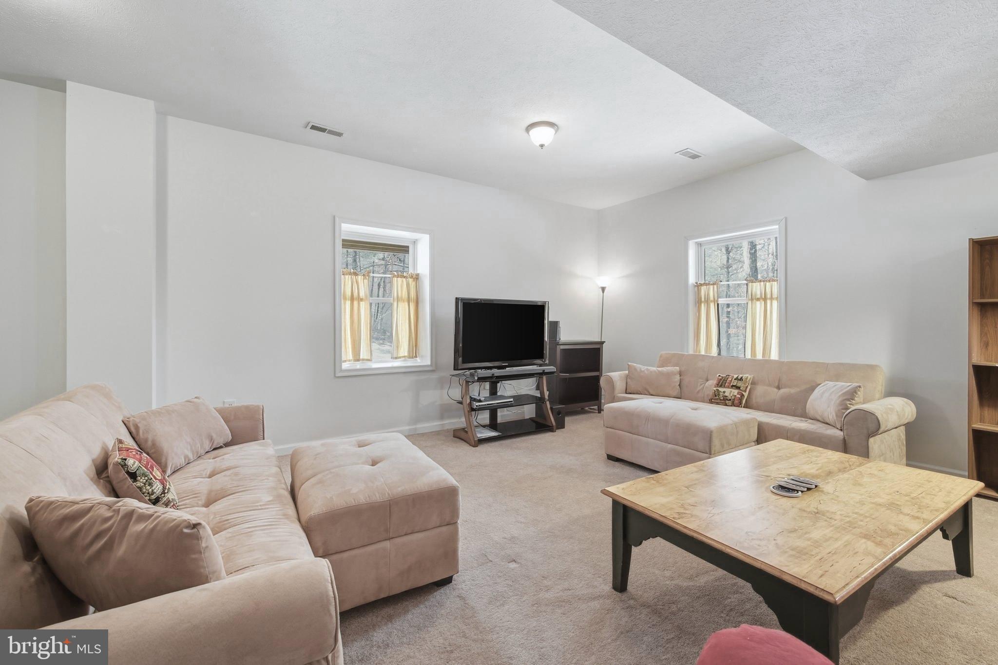 112 Auger Way Mount Jackson, VA 22842 - Photo 28 of 51 Lower Level - Huge Family Room
