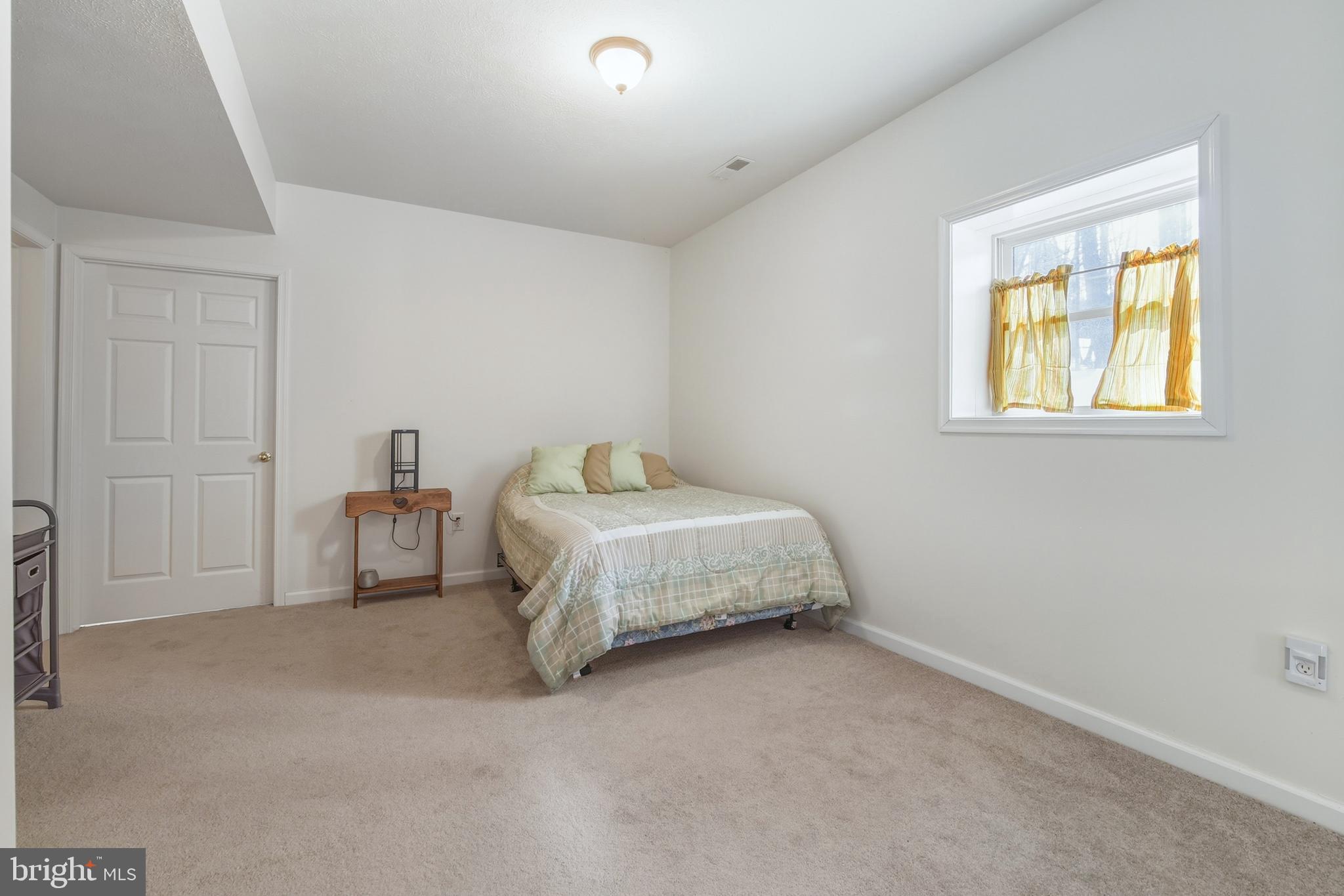 112 Auger Way Mount Jackson, VA 22842 - Photo 32 of 51 Lower Level