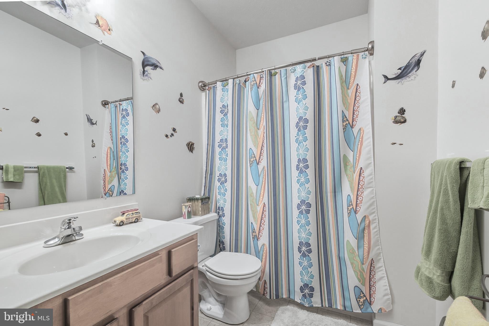 112 Auger Way Mount Jackson, VA 22842 - Photo 34 of 51 Lower Level - Full Bath