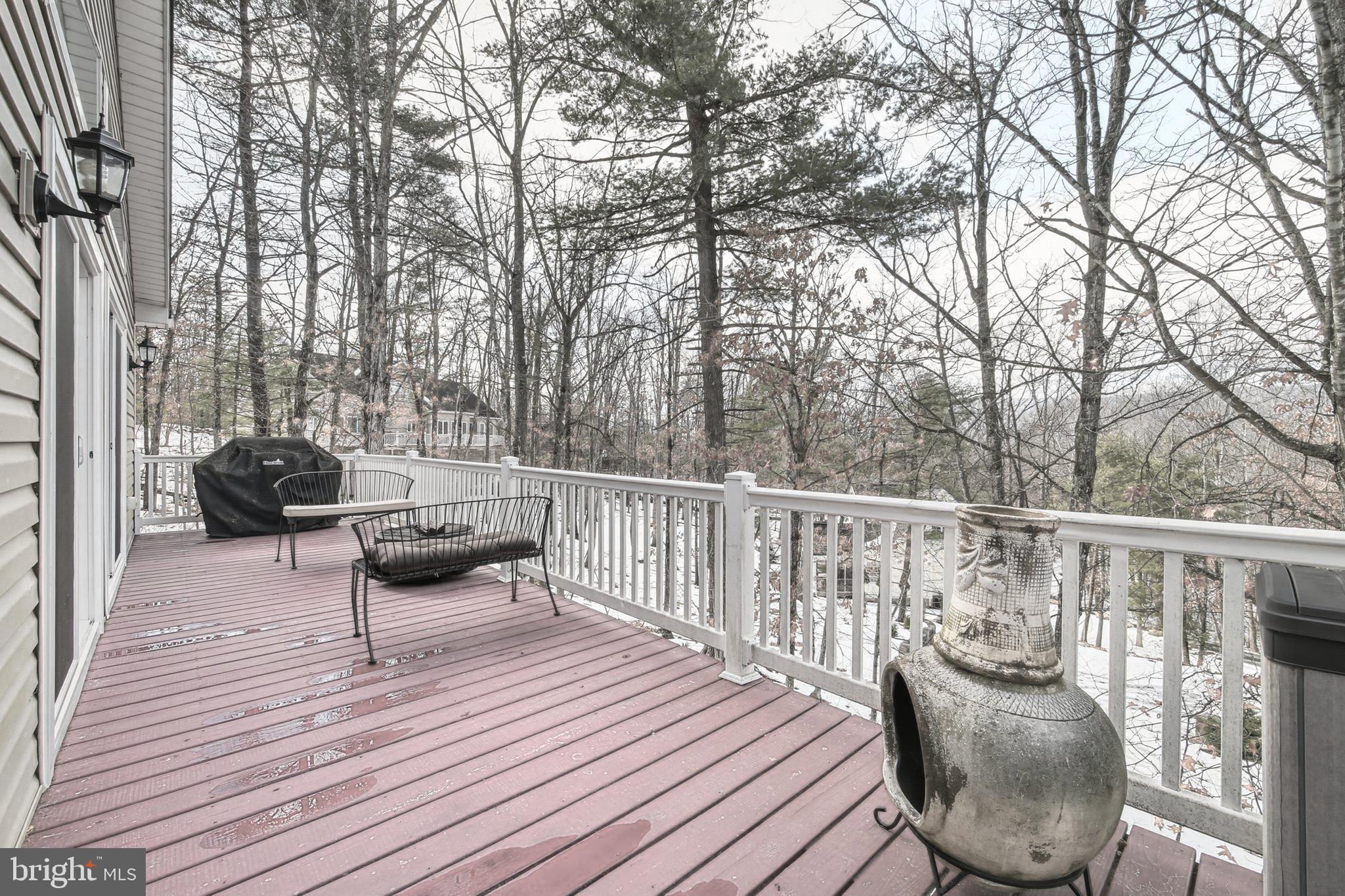112 Auger Way Mount Jackson, VA 22842 - Photo 4 of 51 Back Deck