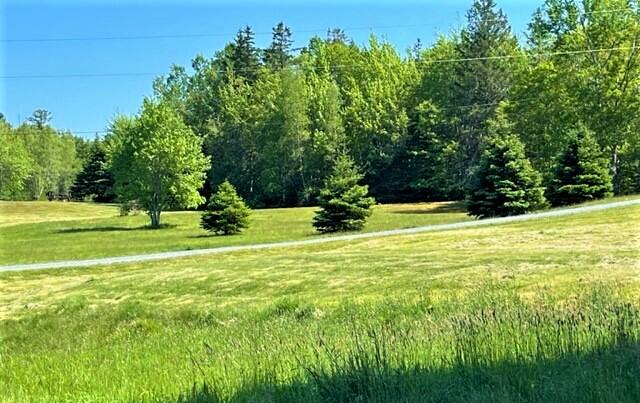 68 Joy Road Gouldsboro, ME 04607 - Photo 18 of 45 Joy9