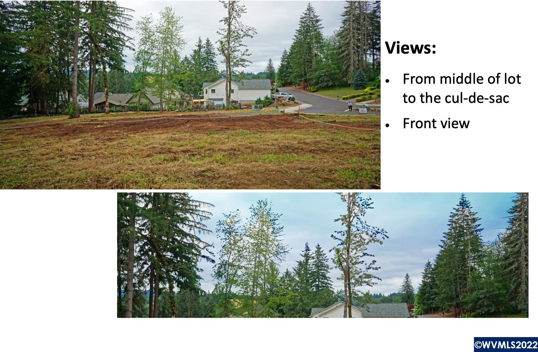 1497 Strawberry Ridge Sweet Home, OR 97386 - Photo 2 of 20 Gallery Image 2