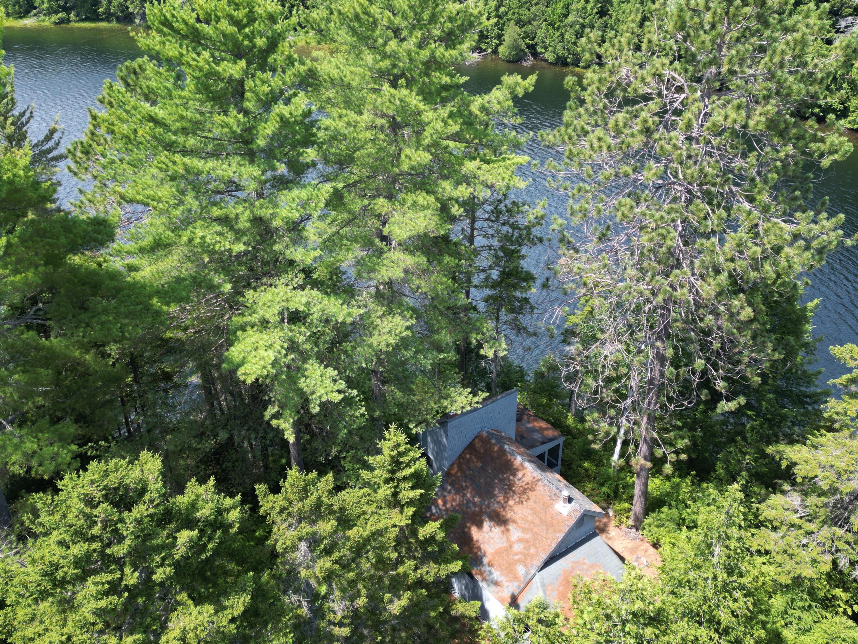 280 Greenwood Pond Road Guilford, ME 04443 - Photo 4 of 39