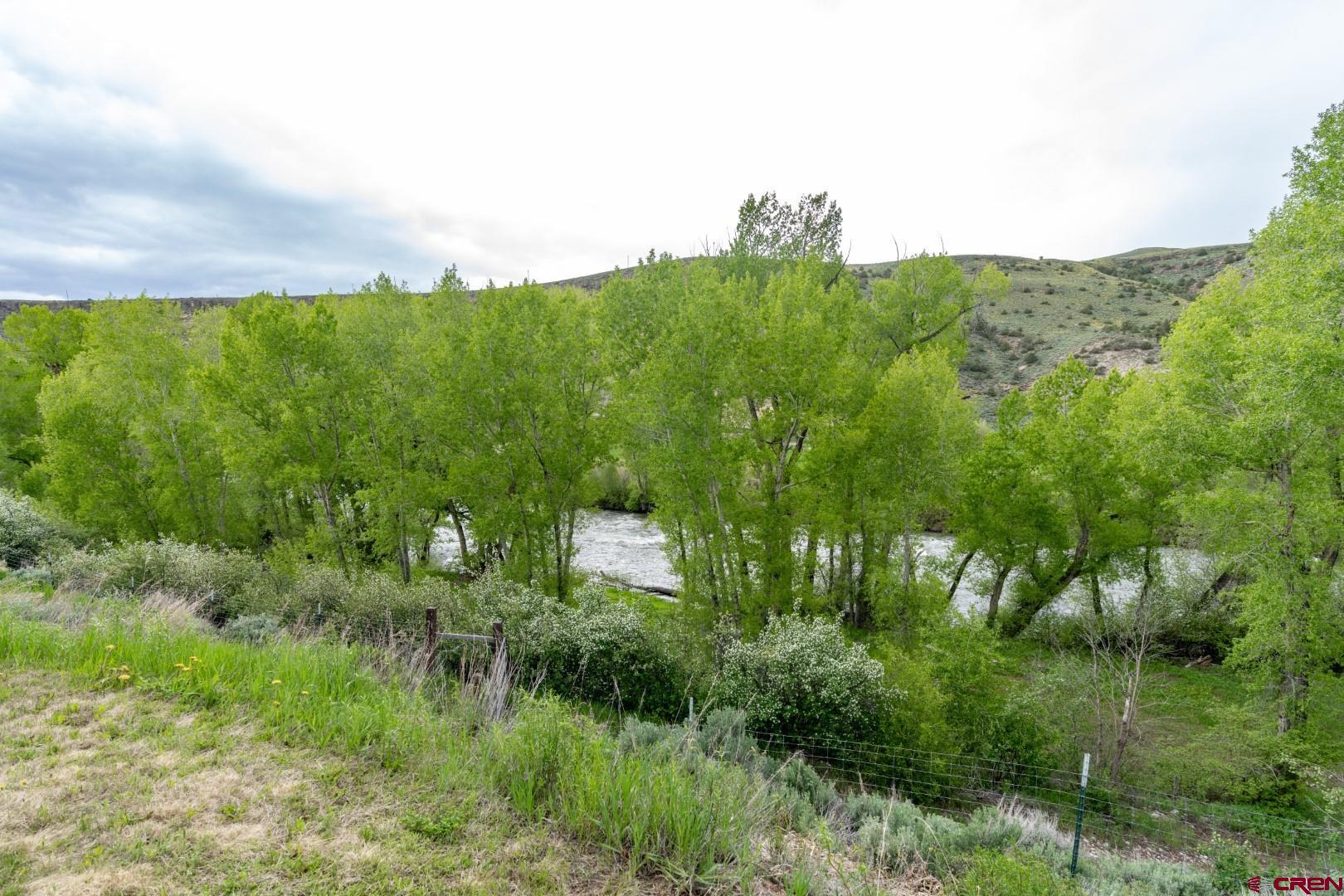 305 Roper Lane Almont, CO 81210 - Photo 13 of 35 a view of a green field with lots of bushes
