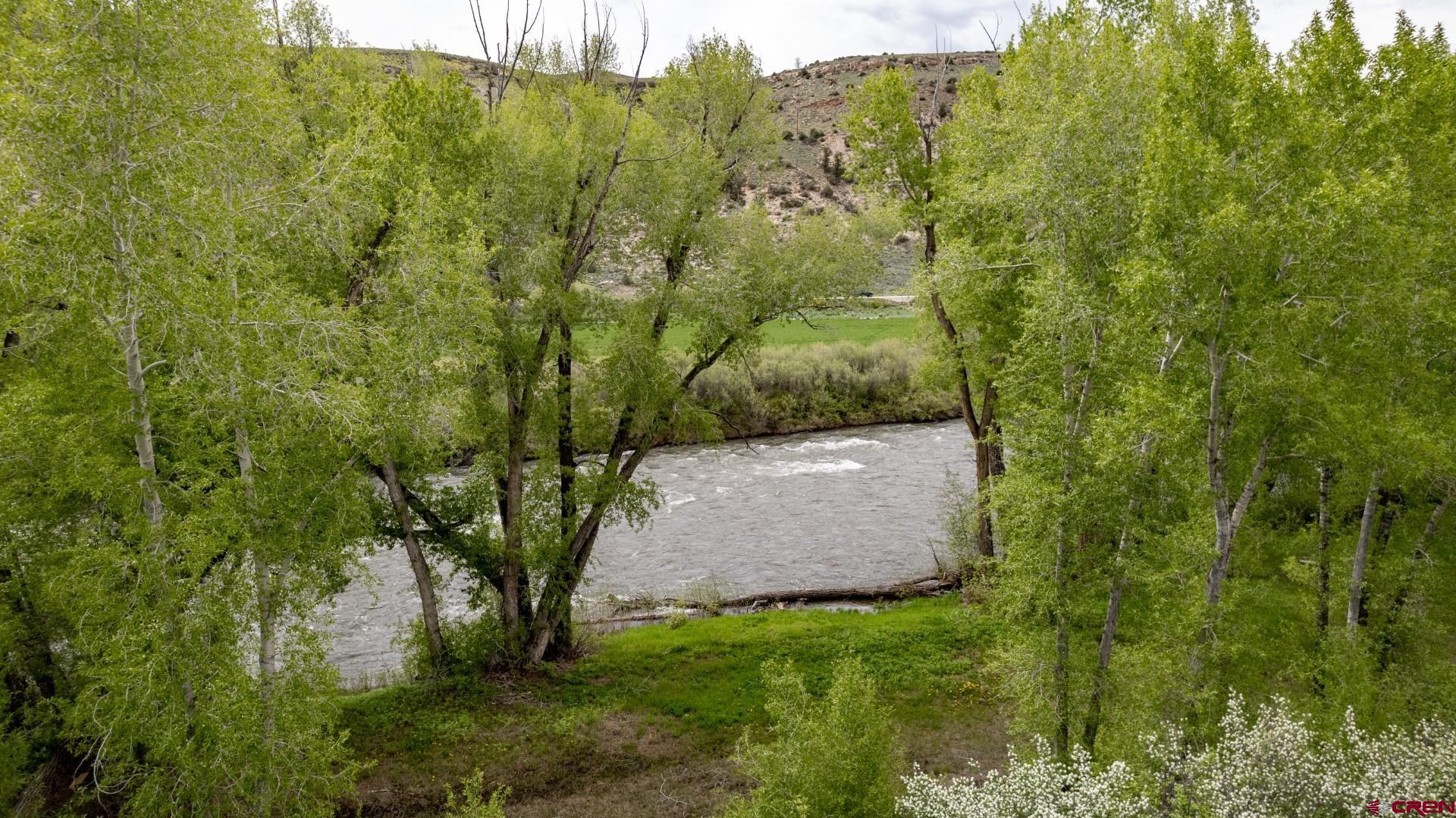 305 Roper Lane Almont, CO 81210 - Photo 4 of 35 a view of a back yard
