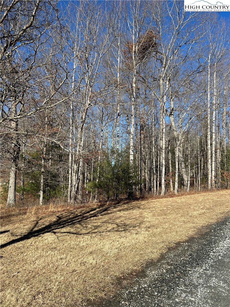 a view of outdoor space with trees