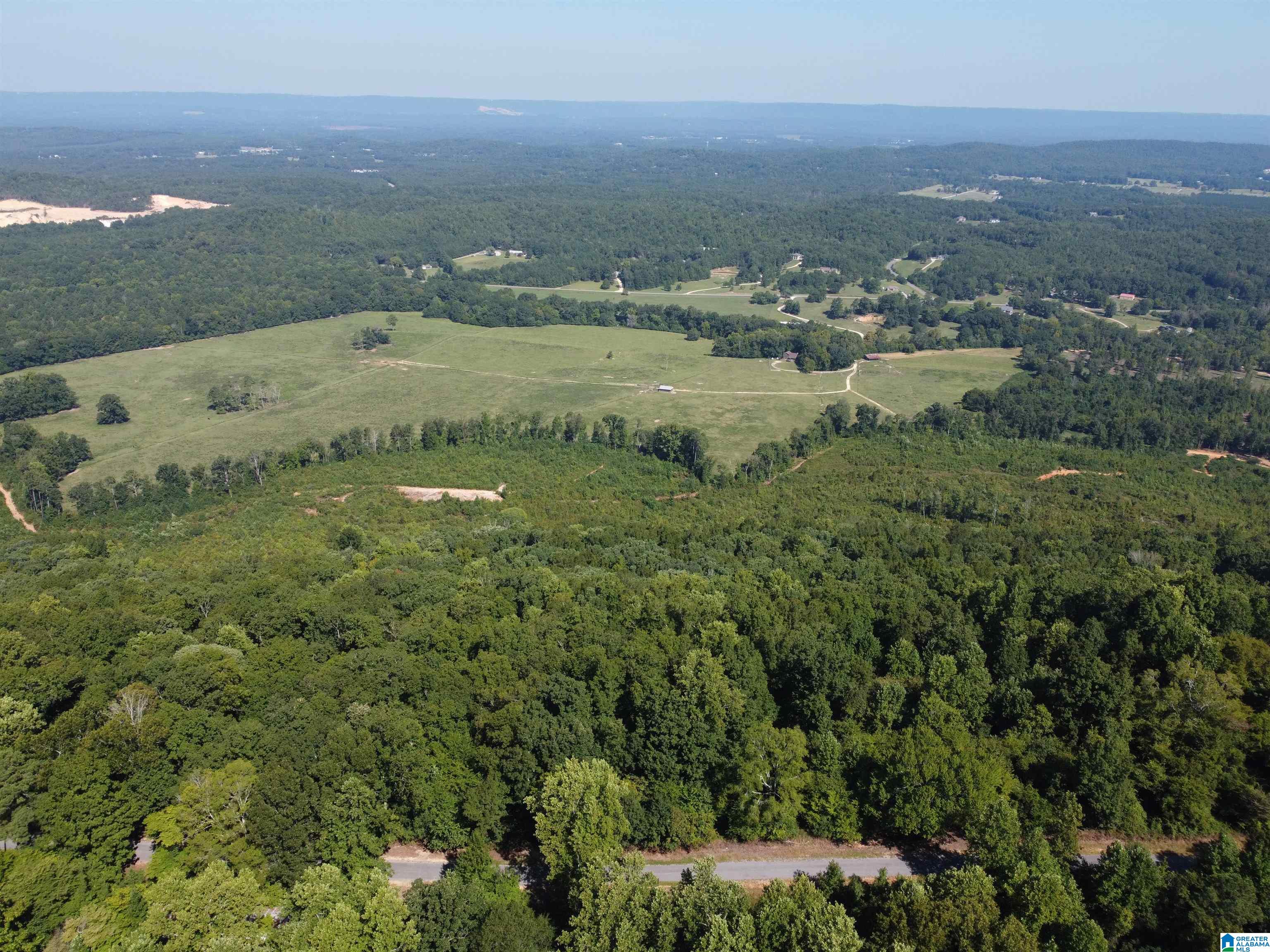 0 Beaver Mountain Road Ashville, AL 35953 - Photo 8 of 40