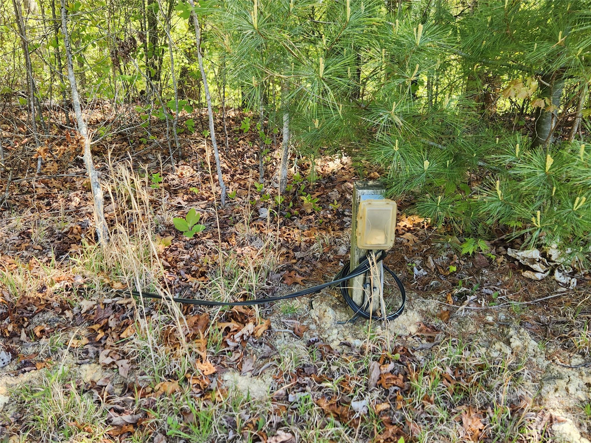 889 Firefly Trail Marshall, NC 28753 - Photo 24 of 35