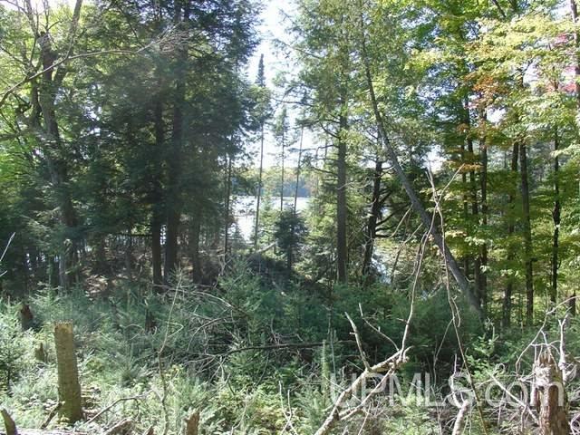 On Channel Road, Unit LOT 7 Watersmeet, MI 49969 - Photo 3 of 4 Gallery Image 3