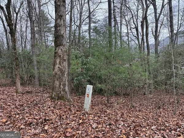 a view of a forest with trees