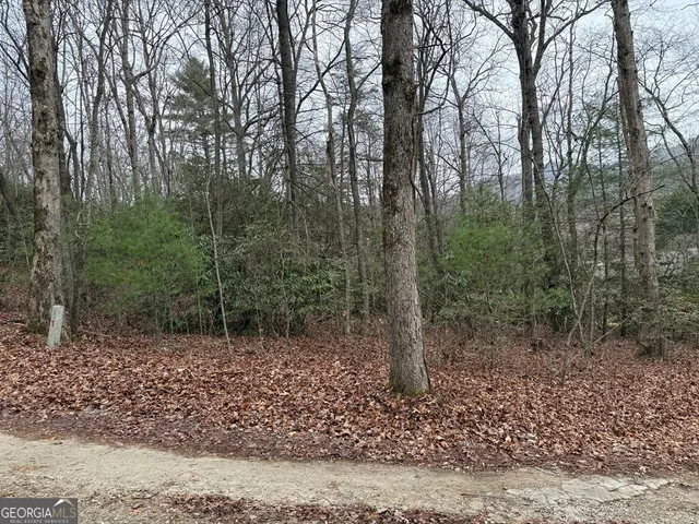 $28,500 | Lot 19 Ideal Acres, Otto, NC 28763