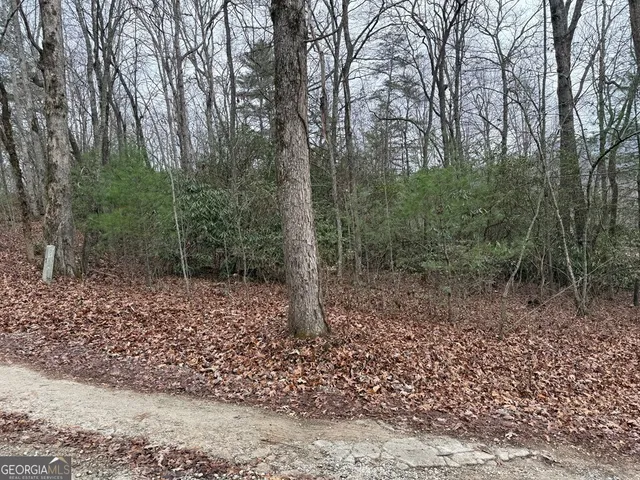 $28,500 | Lot 19 Ideal Acres, Otto, NC 28763
