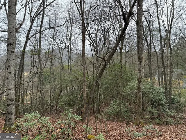 $28,500 | Lot 19 Ideal Acres, Otto, NC 28763