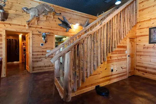 a view of a big yard with lots of trees