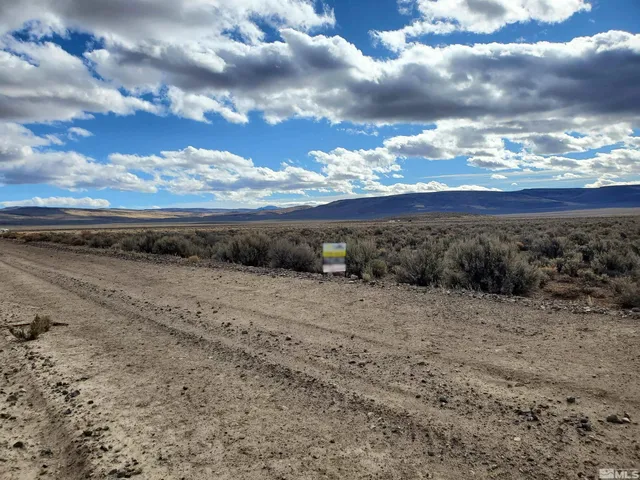 a view of a dry yard with wooden fence