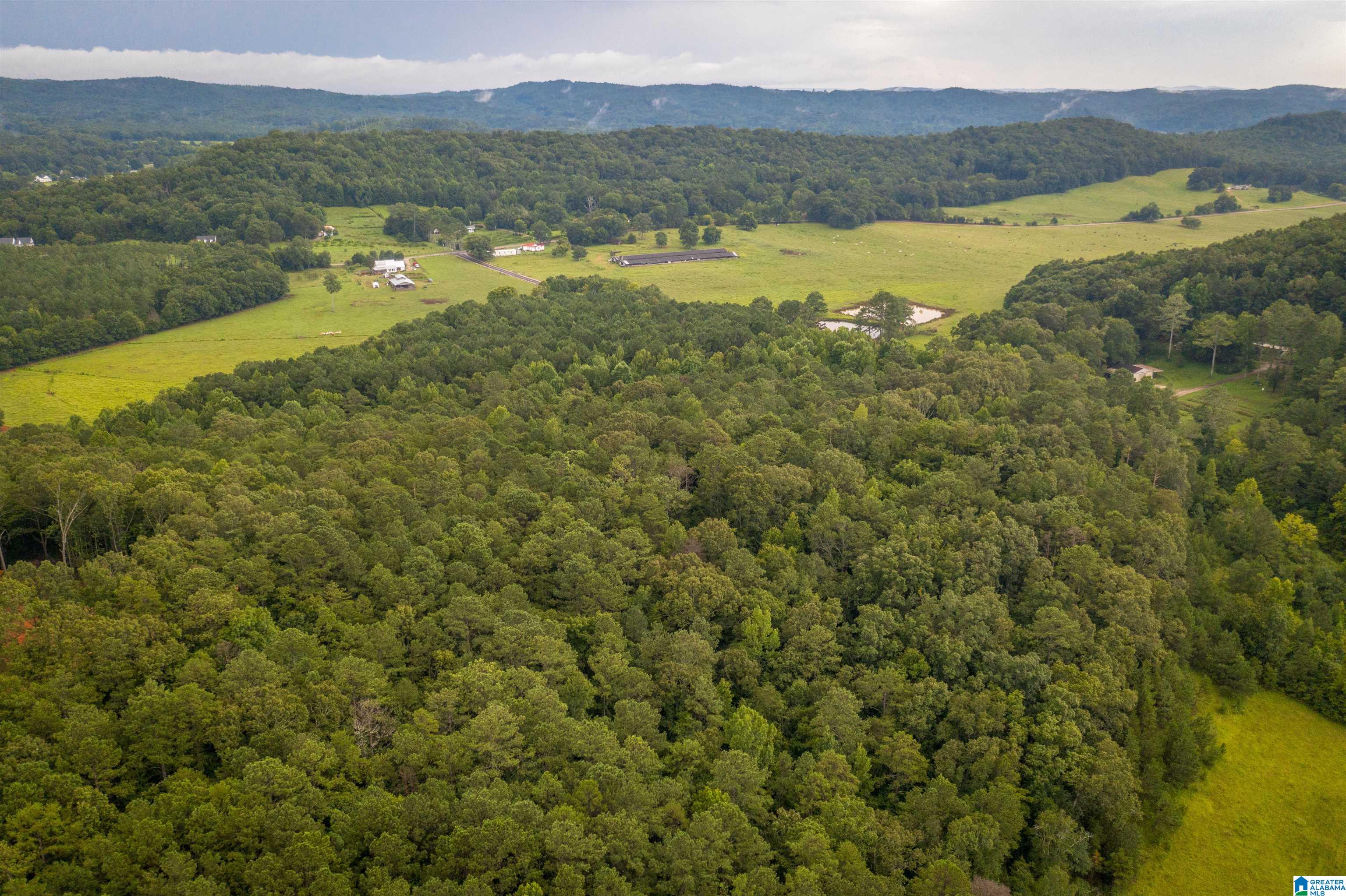0 Iron City Cutoff Road, Unit 4 Anniston, AL 36207 - Photo 13 of 19