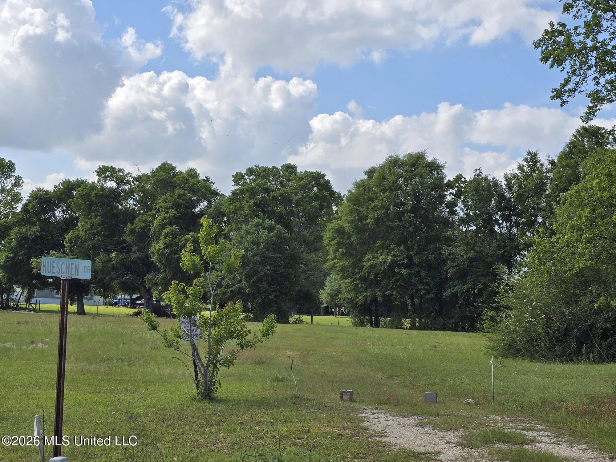 0 Werner Road Picayune, MS 39466 - Photo 12 of 42 20260412_160130