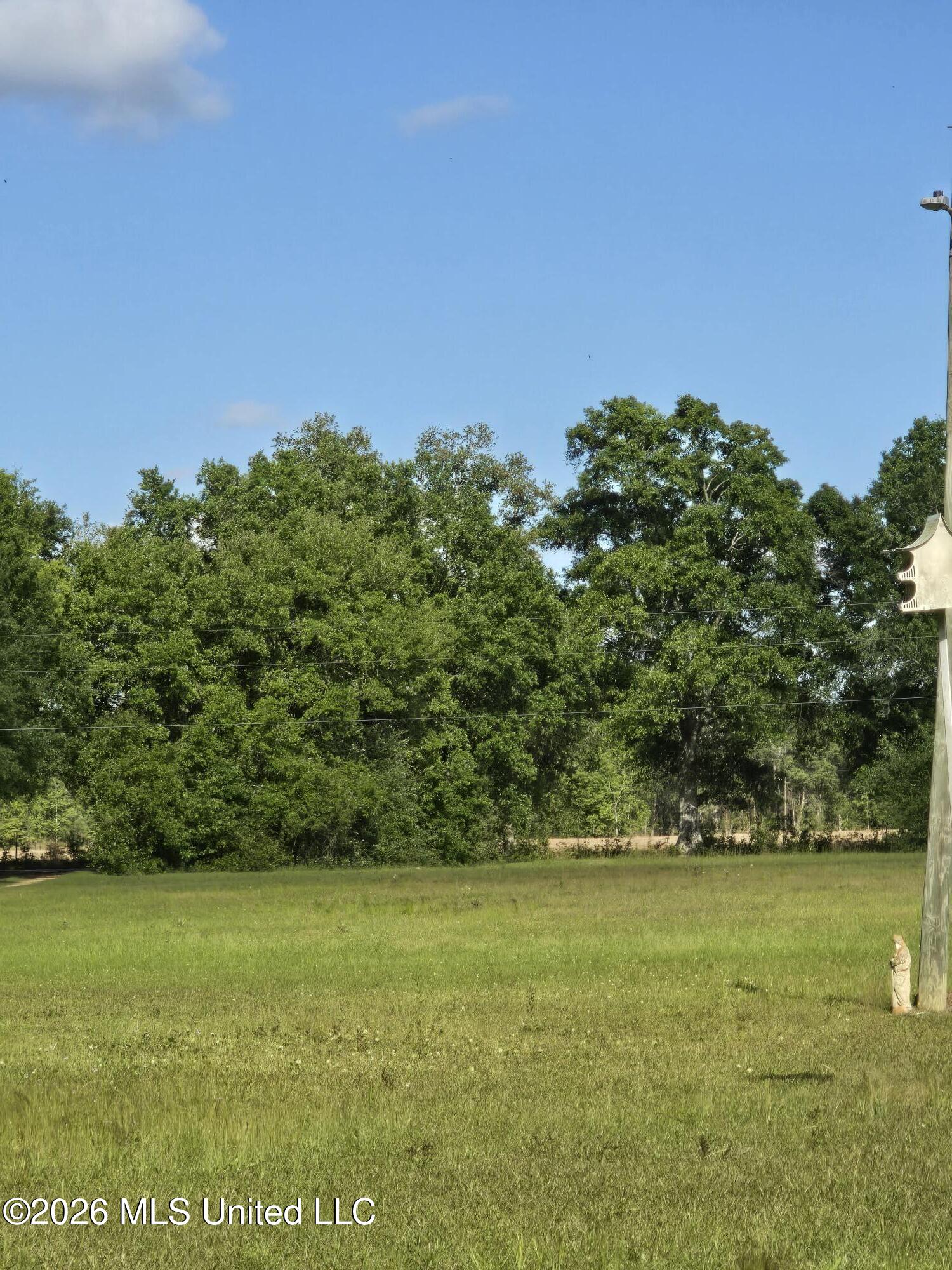 0 Werner Road Picayune, MS 39466 - Photo 13 of 42 20260413_163328