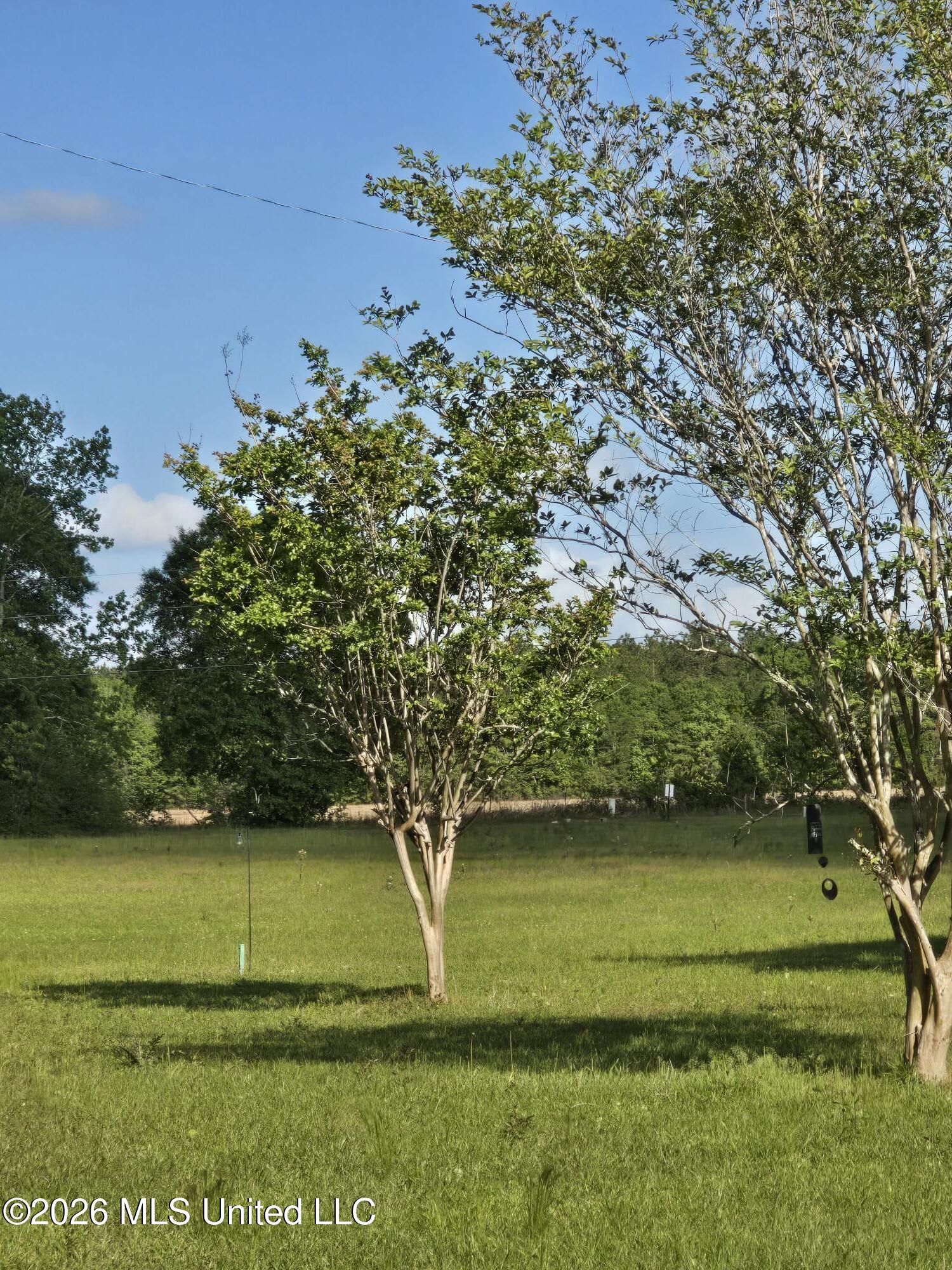0 Werner Road Picayune, MS 39466 - Photo 14 of 42 20260413_163332