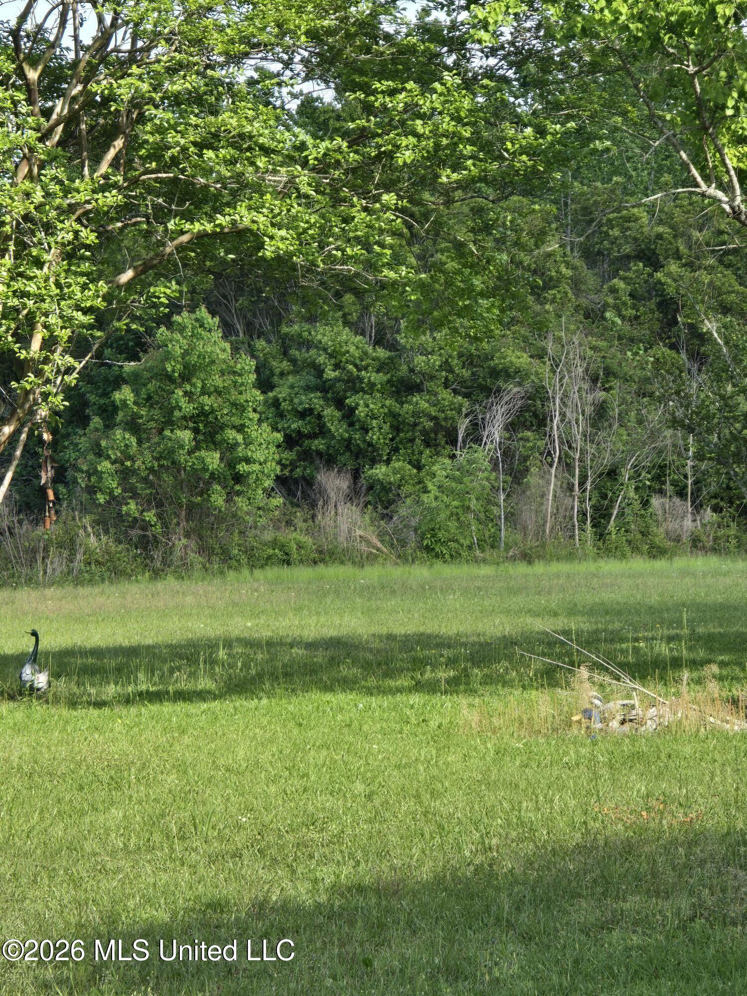 0 Werner Road Picayune, MS 39466 - Photo 15 of 42 20260413_163339 (1)